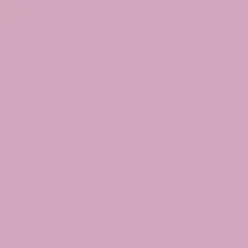 OnlyFans cuenta daisydooyou header 2