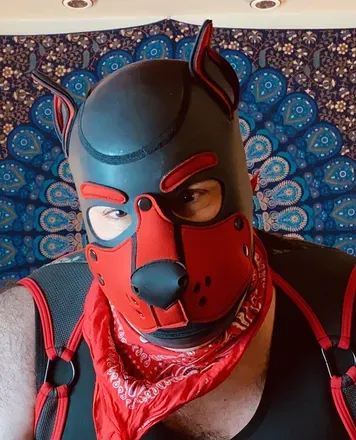 OnlyFans cuenta bearpupgaymer avatar 1