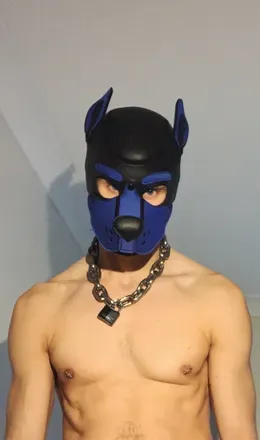 OnlyFans cuenta danthehound avatar 1