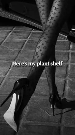 OnlyFans cuenta ddtasteful header 2
