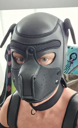 OnlyFans cuenta thor857 avatar 1