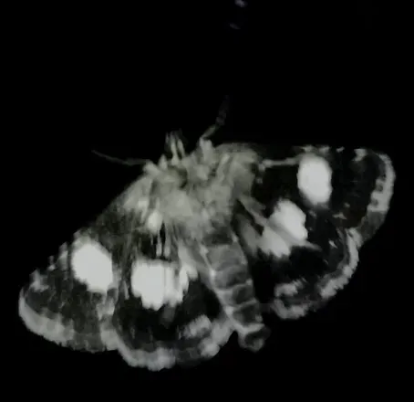 2026-02-27 photo 1