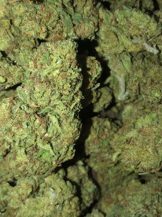 OnlyFans cuenta thespicystoner header 2