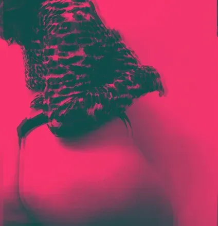 OnlyFans cuenta lilsazonxo avatar 1