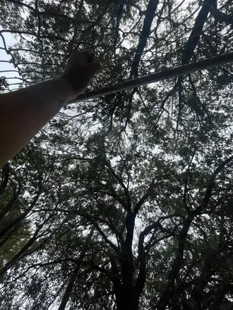 OnlyFans cuenta wilddreamsshots header 2