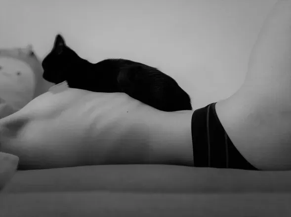 OnlyFans account  catandbones header 2
