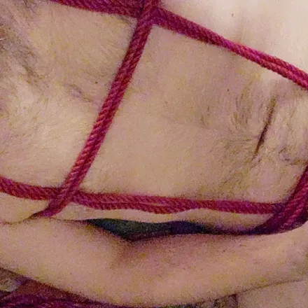 OnlyFans account  bearded.d avatar 1