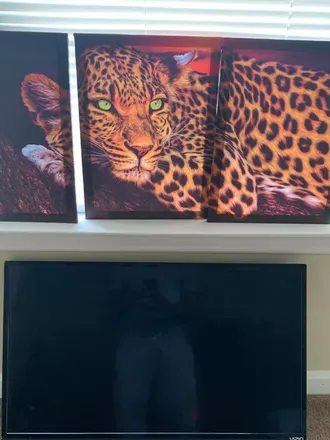OnlyFans account  cheetahprintking avatar 1
