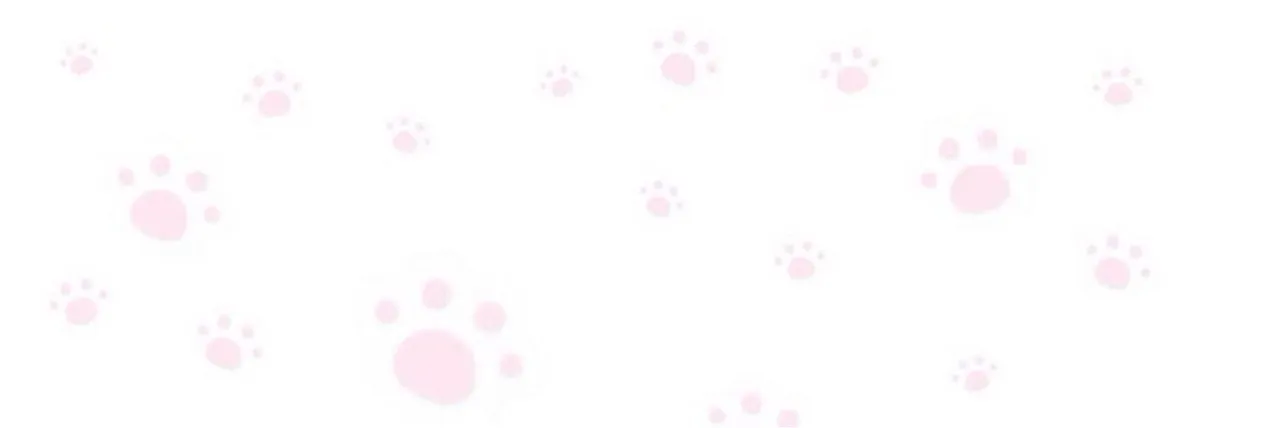 OnlyFans cuenta pantwiezz header 2