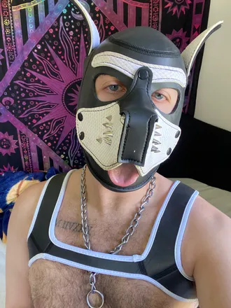 OnlyFans cuenta lithepuppy avatar 1