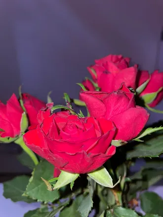 OnlyFans cuenta kejtyna08 header 2