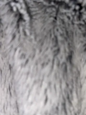 OnlyFans cuenta koltenlevi header 2