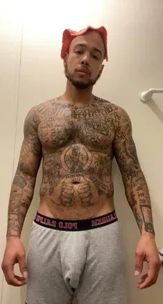 OnlyFans cuenta mr.bripperton avatar 1