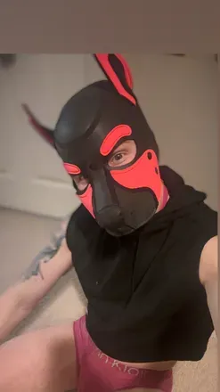 OnlyFans cuenta brinkthepup avatar 1