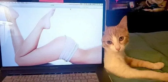 OnlyFans cuenta markymarkers header 2