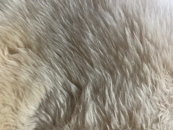 OnlyFans account  flirty_feet_honey header 2