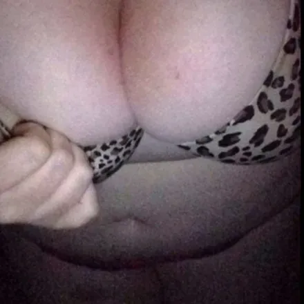 OnlyFans cuenta alpacasabowl header 2