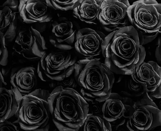 OnlyFans cuenta nikitamori header 2