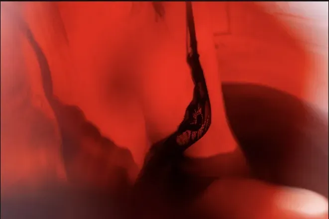 OnlyFans cuenta kellykrile avatar 1