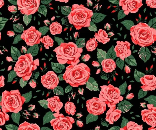 OnlyFans cuenta shypetals header 2