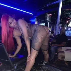 OnlyFans cuenta dime-diva avatar 1