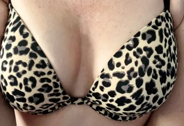 OnlyFans cuenta scarlett_wife header 2