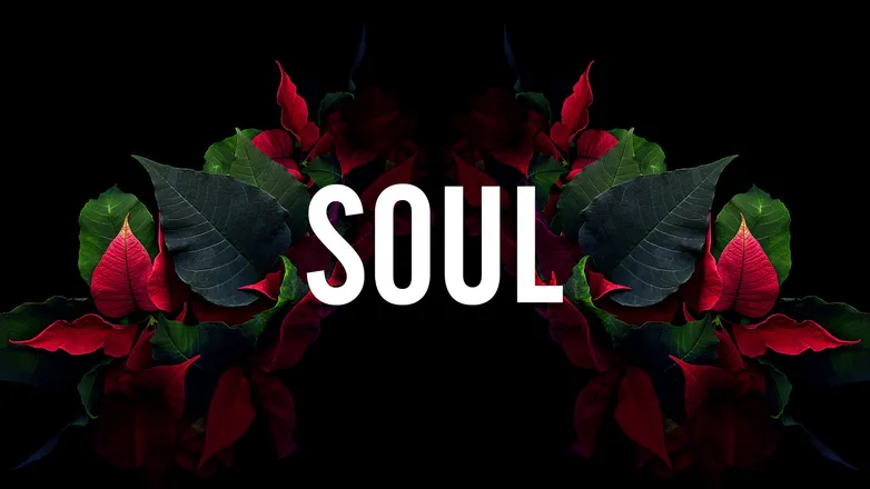 OnlyFans account  soulreaper09 header 2