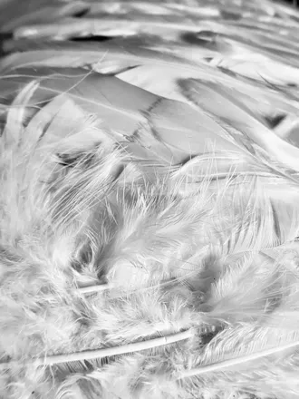 OnlyFans cuenta valeria7734 header 2