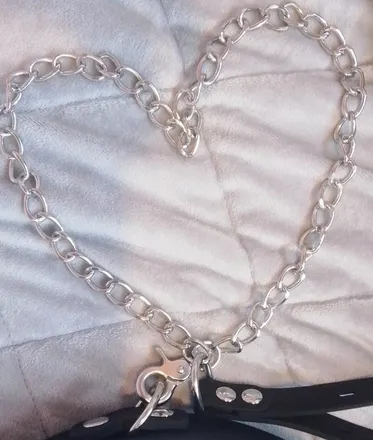 OnlyFans cuenta pierced_princess20 header 2