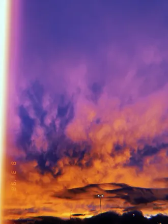 OnlyFans cuenta cactusdude header 2