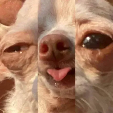 OnlyFans cuenta kavikawaii header 2