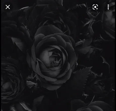 OnlyFans cuenta santeriaa header 2