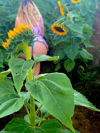 OnlyFans cuenta jaderainfree header 2