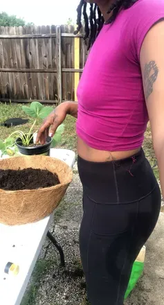 OnlyFans account  melaninplantgoddess avatar 1