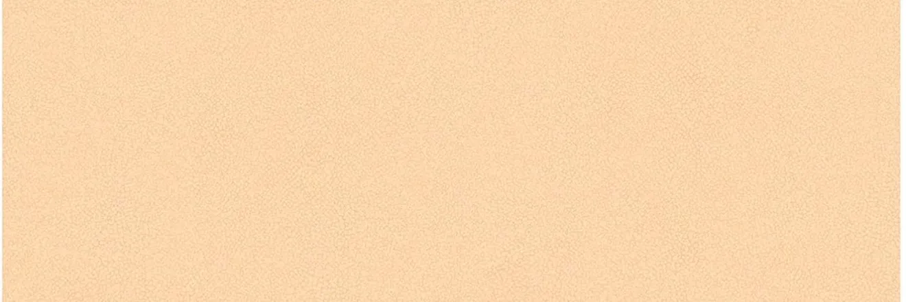 OnlyFans cuenta therealtz header 1