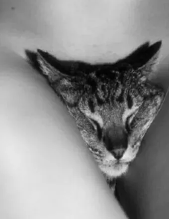 OnlyFans cuenta sylvarrose header 2