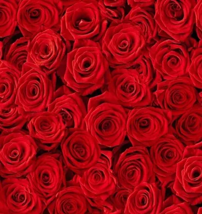 OnlyFans cuenta sandyrodelo header 2