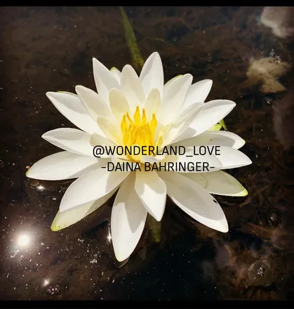 OnlyFans cuenta wonderland_love header 2