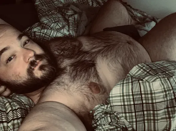 OnlyFans cuenta abashfulbear avatar 1