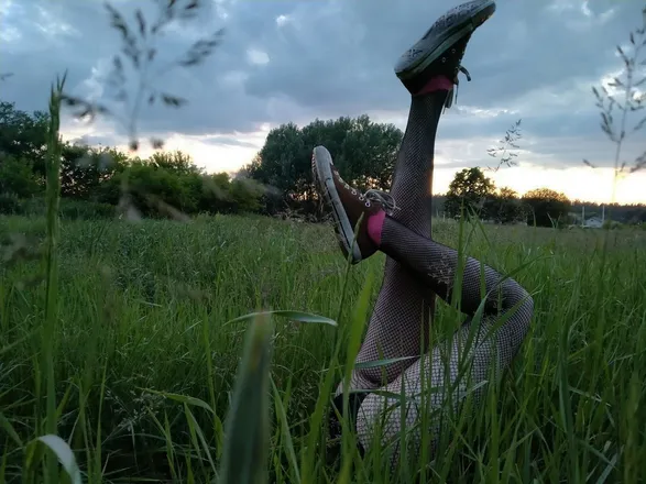 OnlyFans cuenta melissa_fox_onlyfans header 2