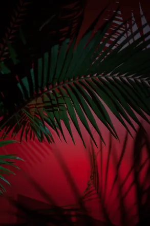 OnlyFans cuenta cocoabutterkiss header 2