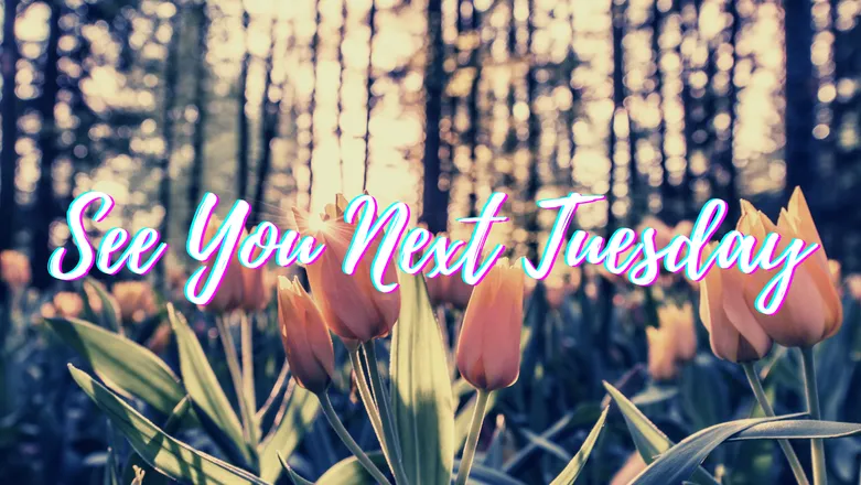 OnlyFans cuenta arealseeyounexttuesdsay header 2