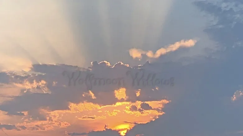 OnlyFans cuenta toxicmoonbeam header 2