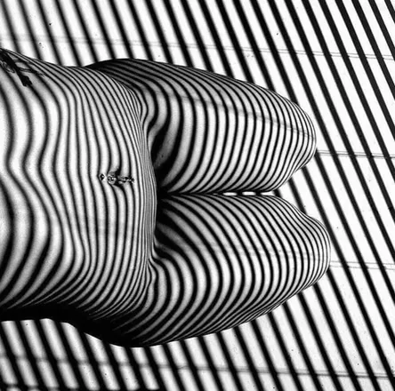 OnlyFans account  wetnwild_lesbos header 2
