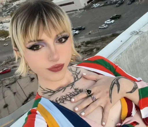 OnlyFans account  sidneygray avatar 1