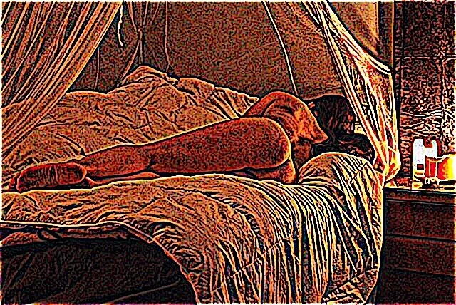 OnlyFans cuenta yvaine_star header 2