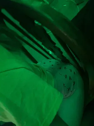 OnlyFans cuenta haileyybabyyxo header 2