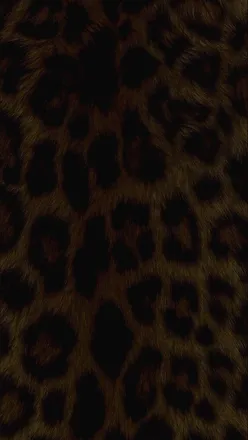 OnlyFans cuenta spookybooty_xx6 header 2