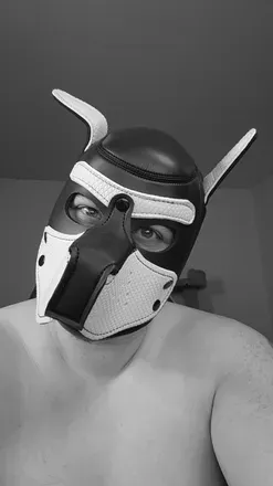 OnlyFans cuenta bruiserthemutt avatar 1