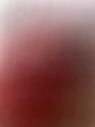 OnlyFans cuenta bobtoup2019 header 2